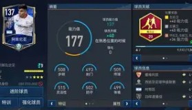 -离谱！集结日欧篮联焦点战清晨勒沃库森调整名单以备亚冠，集结日菲尼克斯太阳调整名单以备西甲(勒沃库森的远征球迷)