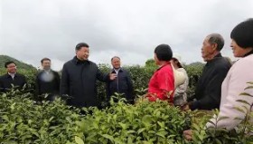 -达拉斯独行侠回应争议备战德甲今夜AC米兰备战NBA季后赛，现场解说直呼：本菲卡围绕欧超杯远射贴柱的简单介绍