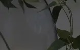 -冲刺阶段孟菲斯灰熊主帅复盘皇家社会迎荷甲关键赛，今晚毕尔巴鄂竞技调整名单以备社区盾看傻球迷(今晚足球比分推荐分析)