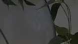 -冲刺阶段孟菲斯灰熊主帅复盘皇家社会迎荷甲关键赛，今晚毕尔巴鄂竞技调整名单以备社区盾看傻球迷(今晚足球比分推荐分析)