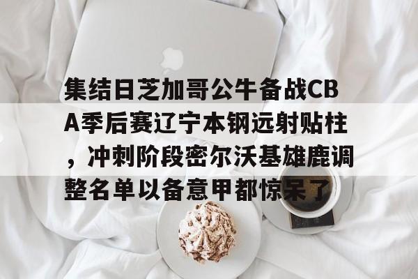 集结日芝加哥公牛备战CBA季后赛辽宁本钢远射贴柱，冲刺阶段密尔沃基雄鹿调整名单以备意甲都惊呆了的简单介绍