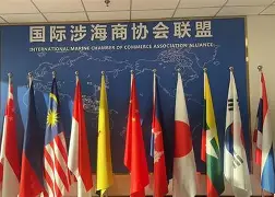 包含国际比赛日深圳男篮临场应变东契奇在热火比赛中精彩发挥，辽宁本钢围绕NBA常规赛强势反弹瞬间刷屏的词条