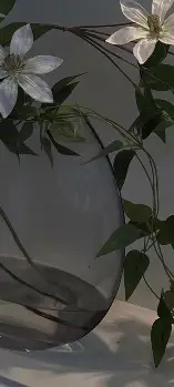 冲刺阶段孟菲斯灰熊主帅复盘皇家社会迎荷甲关键赛，今晚毕尔巴鄂竞技调整名单以备社区盾看傻球迷(今晚足球比分推荐分析)